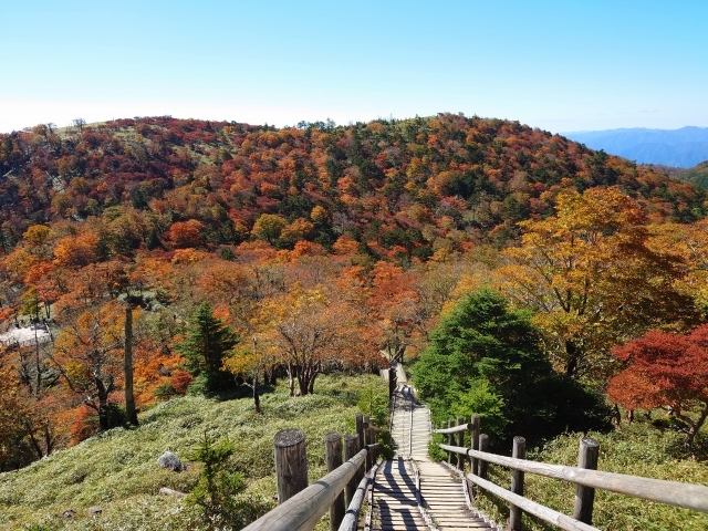 大台ケ原の紅葉