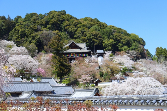 奈良長谷寺