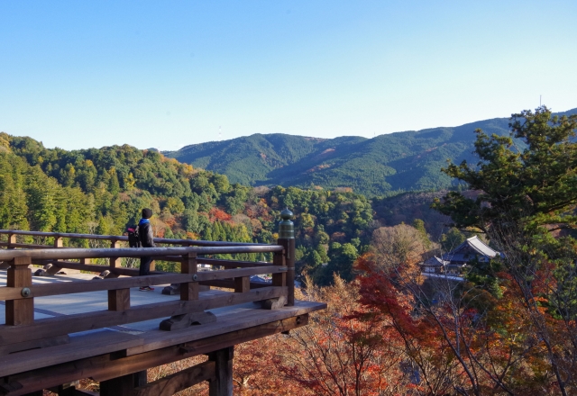 長谷寺　紅葉