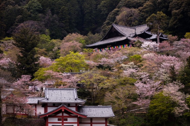長谷寺