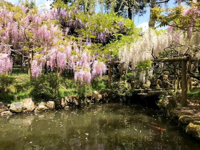萬葉植物園